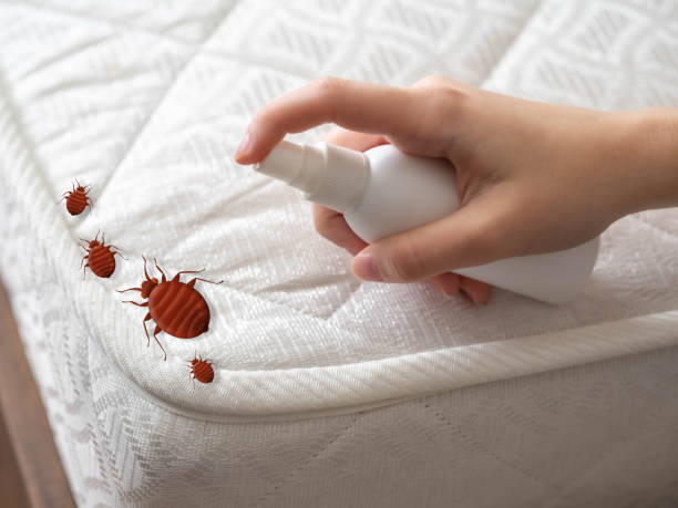 Best Cockroach Control  in Garfield Heights, OH